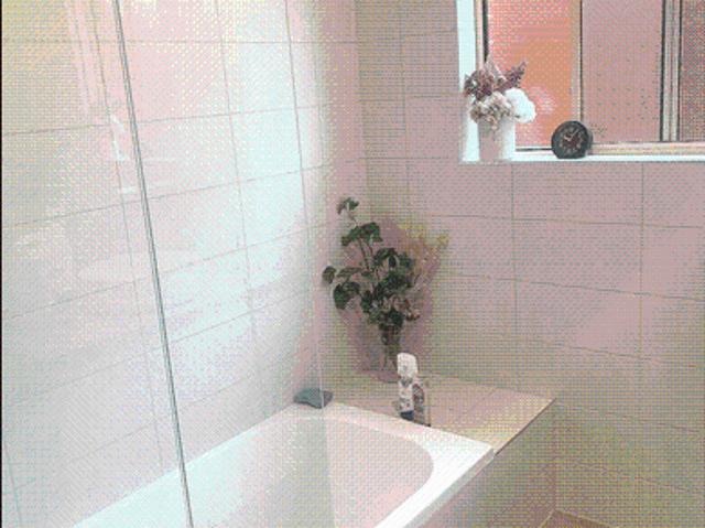 House for rent in Allenby Gardens, Adelaide