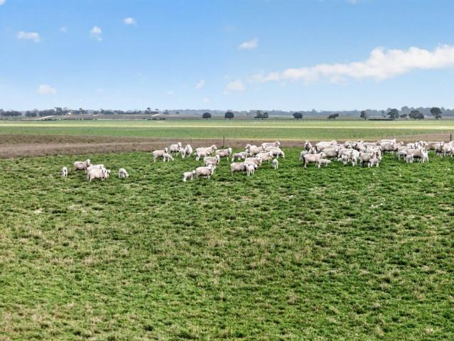 Acreage for sale in Meningie, South Australia