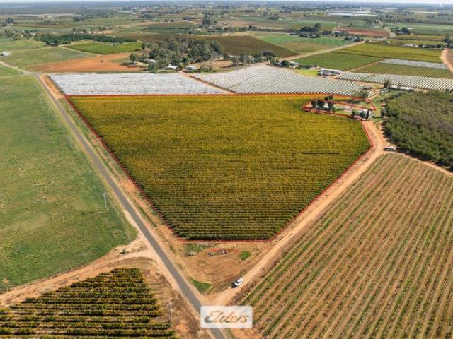 Cottage for sale in Red Cliffs, Victoria