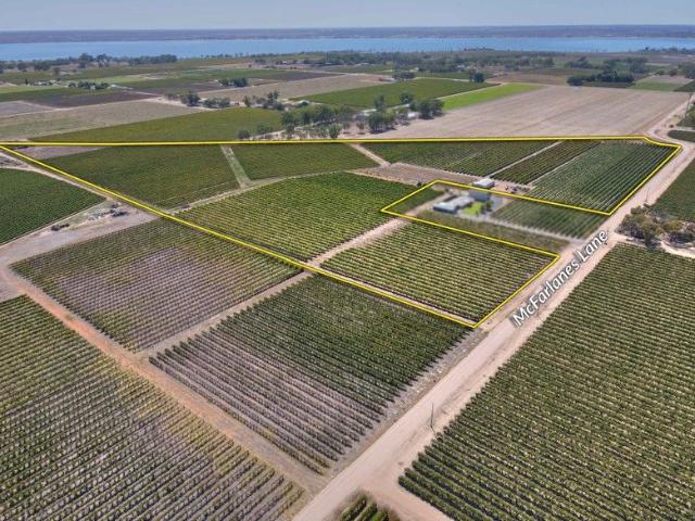 Property for sale in Barmera, South Australia