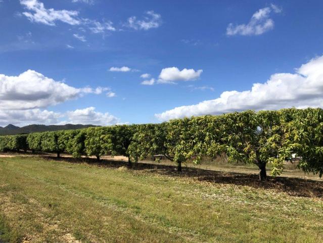 Property for sale in Dimbulah, Queensland