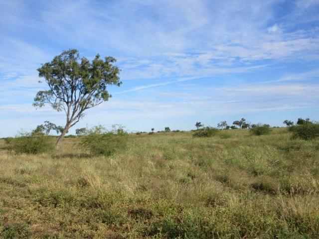 Cottage for sale in Longreach, Queensland