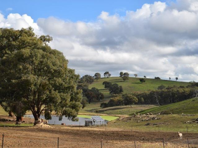 Property for sale in Euchareena, New South Wales