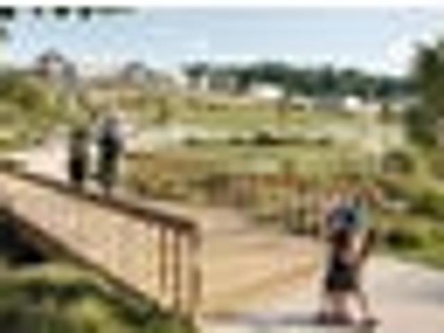 Land for sale in Awhitu