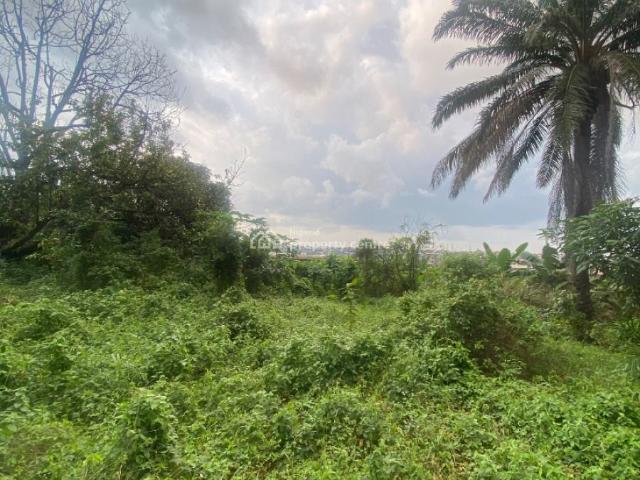 Land for sale in Etche, Rivers