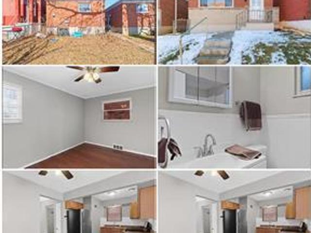 House for rent
