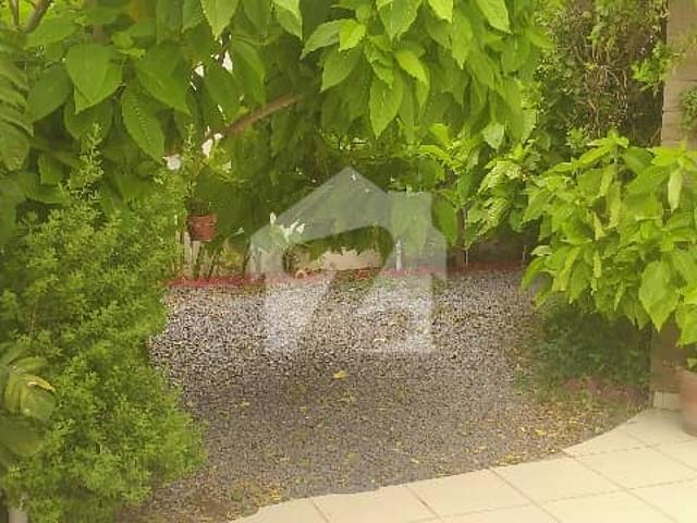 Property for rent in North Waziristan, Federally Administered Tribal Areas fata