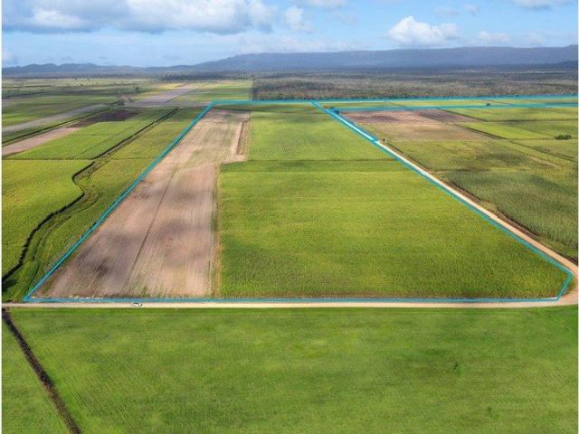 Property for sale in Hinchinbrook, Queensland