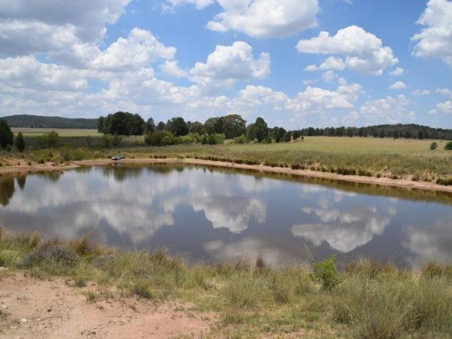 Acreage for sale in Narromine, New South Wales