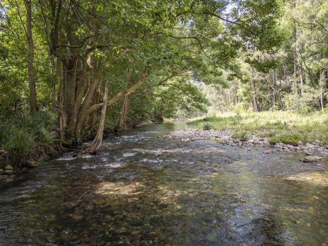House for sale in Upper Orara, New South Wales