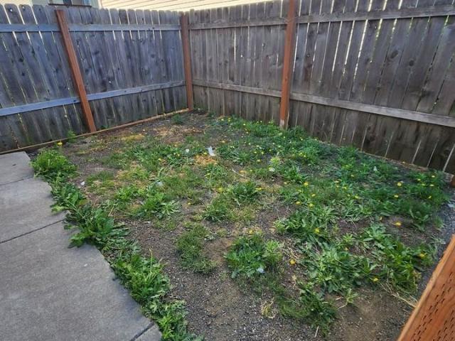 Apartment for rent in Salem