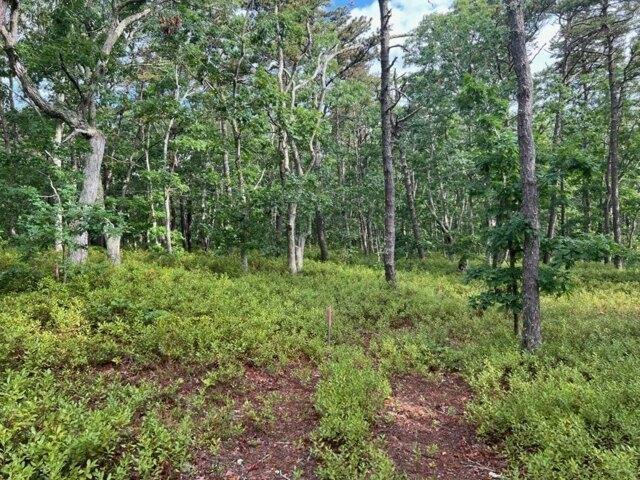 Land for sale in Wellfleet, Massachusetts