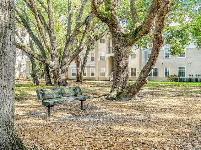 Apartment for rent in Clearwater, Pinellas County