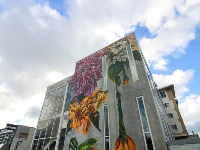 Apartment for rent in Matata, Wellington