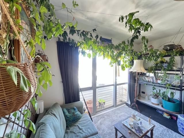 Apartment for rent in Matata, Wellington
