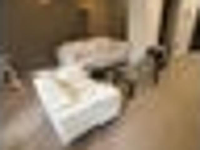 Apartment for rent in Wellington