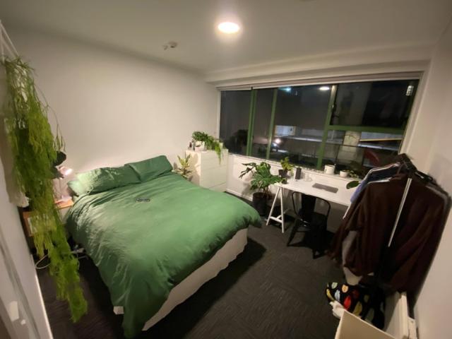 Apartment for rent in Matata, Wellington