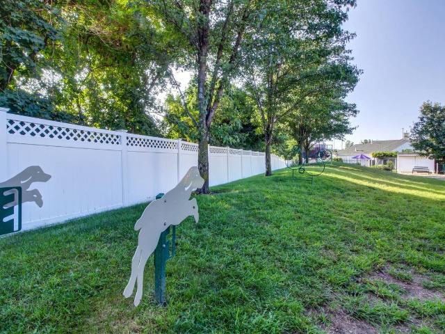 Apartment for rent in Medford