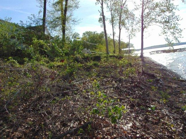 Land for sale in Cherokee, Alabama