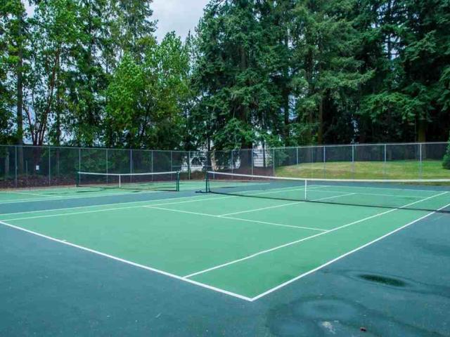 Apartment for rent in Bellevue, Washington