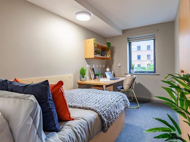 Room for rent in City Centre, South Yorkshire