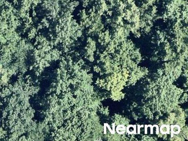 Property for sale in Cumming, Georgia