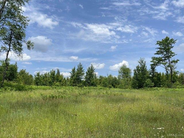 Land for sale in Sagola, Michigan