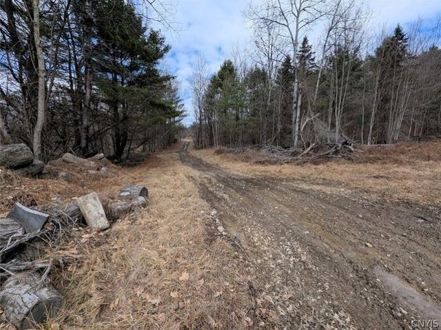 Land for sale in Lindley, New York