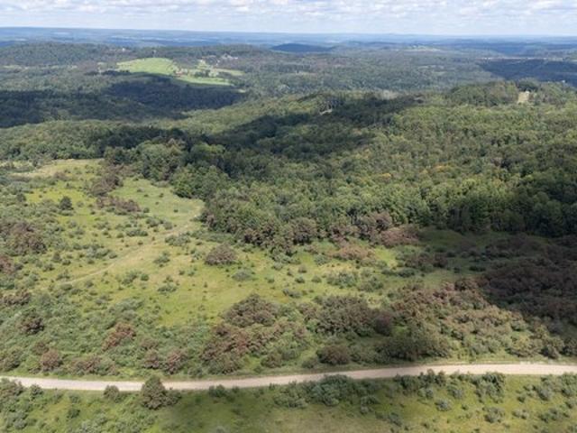 Land for sale in Curwensville, Clearfield County
