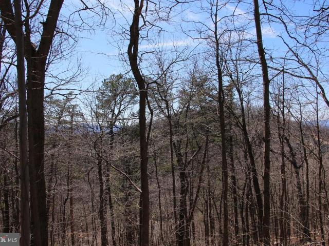 Land for sale in Virginia