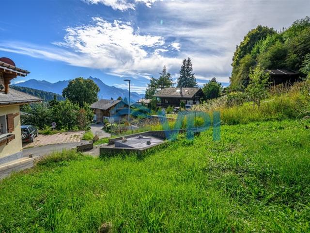 Einfamilienhaus kaufen in Ollon (VS), Waadt