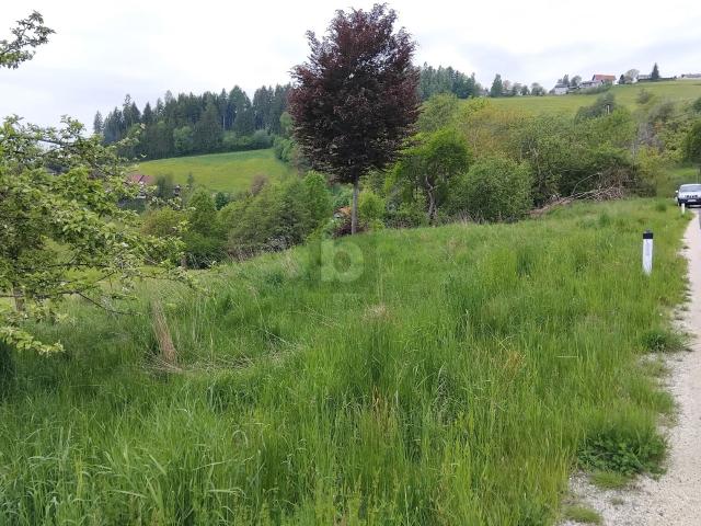 Grundstück kaufen in Griffen, Kärnten