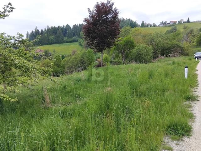 Grundstück kaufen in Griffen, Kärnten