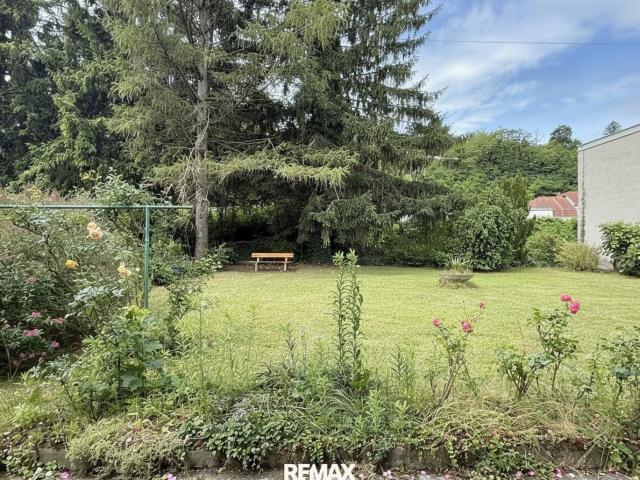 Haus kaufen in Klosterneuburg, Niederösterreich