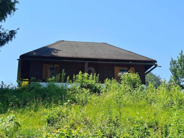 Haus kaufen in Ebenthal, Kärnten