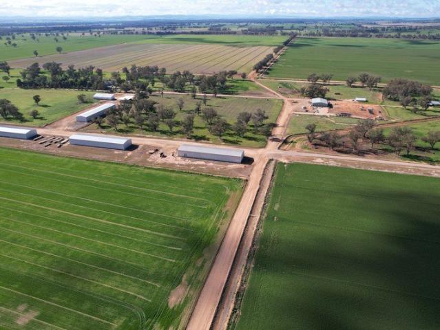 Cottage for sale in Bedgerabong, New South Wales