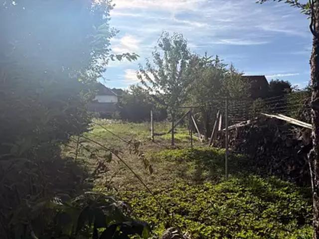 Terrain vente à Werentzhouse, Collectivité européenne d'Alsace