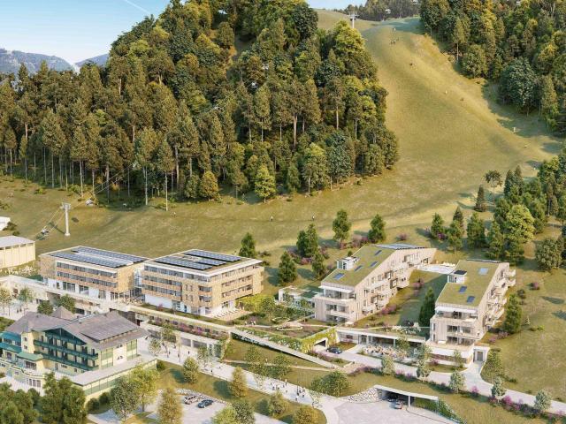 Apartment kaufen in Werfenweng, Salzburg