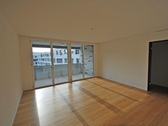 Apartment mieten in Winterthur, Zürich