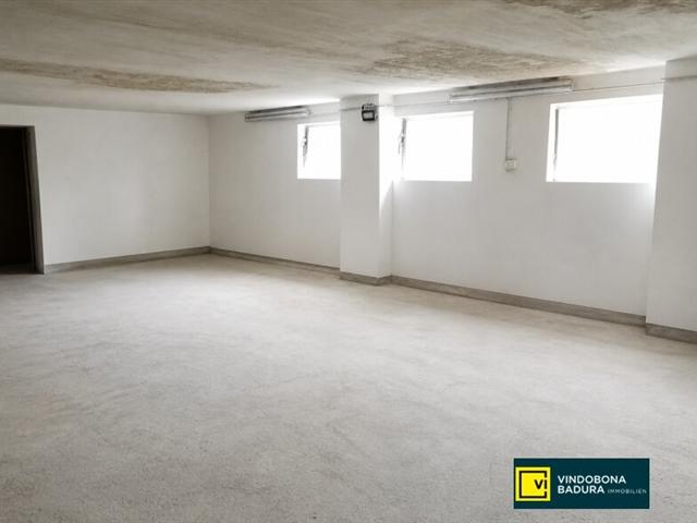 Gewerbe mieten in Mannswörth, Schwechat