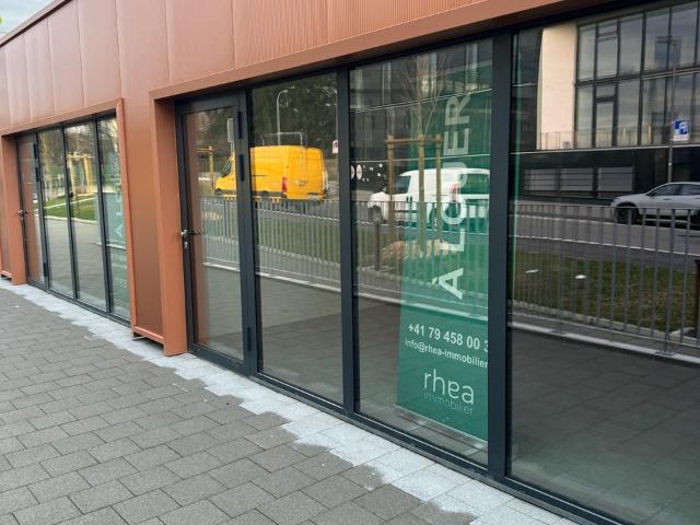 Immobilie mieten in Crissier, Waadt