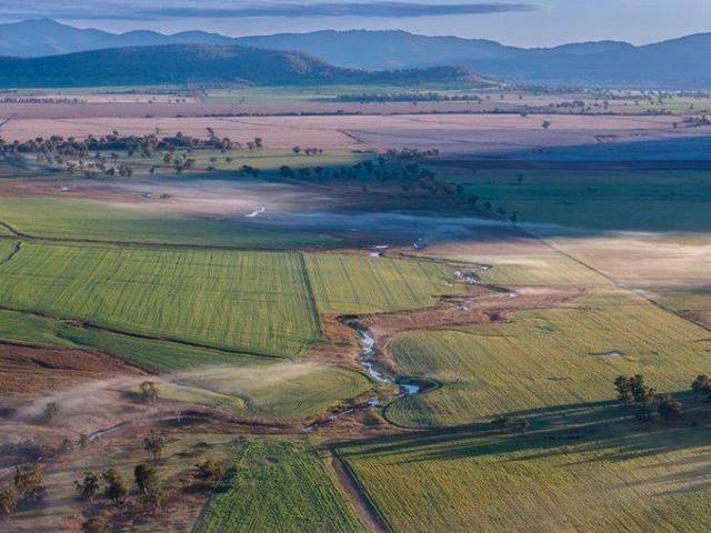 Cottage for sale in Werris Creek, Liverpool Plains Shire Council