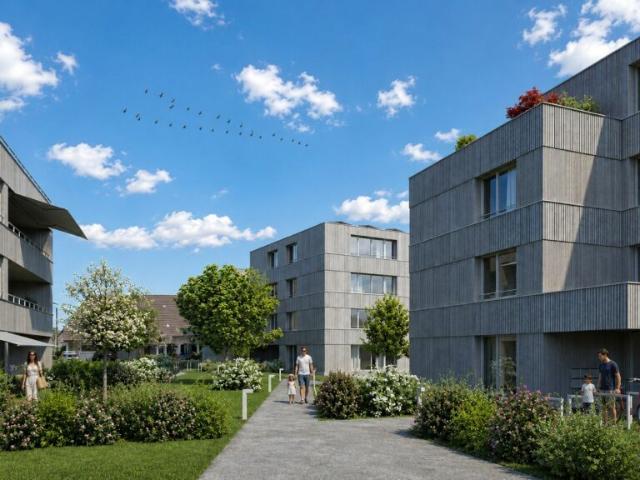 Mehrfamilienhaus kaufen in Däniken (SO), Solothurn