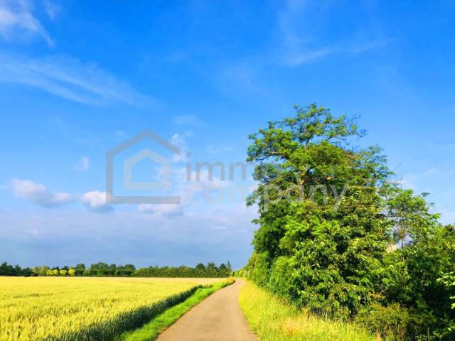 Landwirtschaft kaufen in Zurndorf, Burgenland