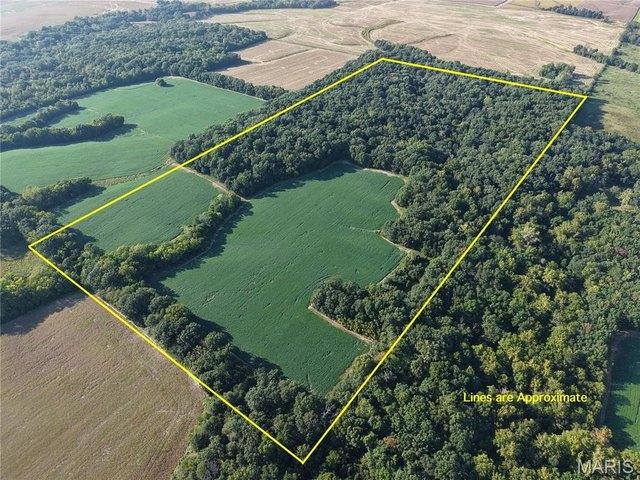 Land for sale in Ellis Grove, Randolph County