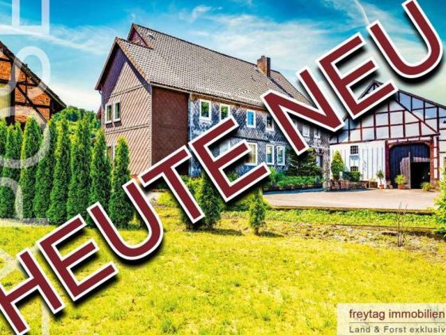 Haus kaufen in Lüerdissen, Niedersachsen