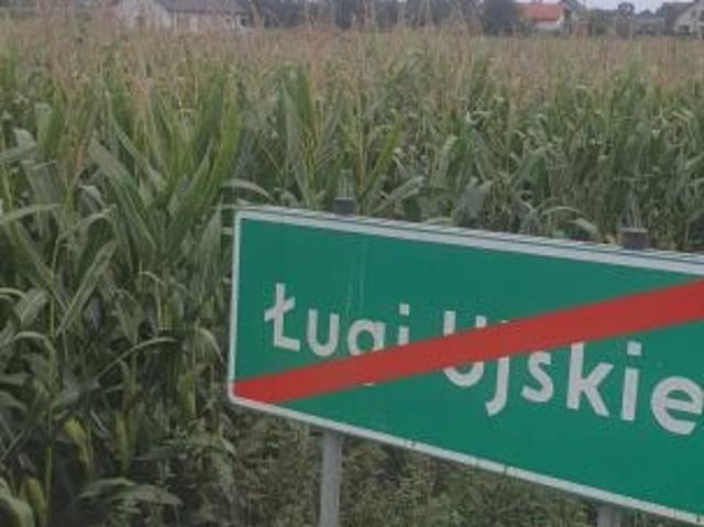 Grunt na sprzedaż w Ługi Ujskie, powiat pilski