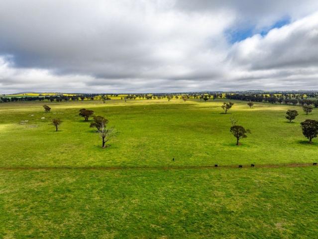 Cottage for sale in Maimuru, New South Wales