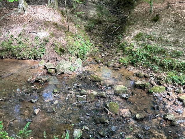 Land for sale in West, Mississippi