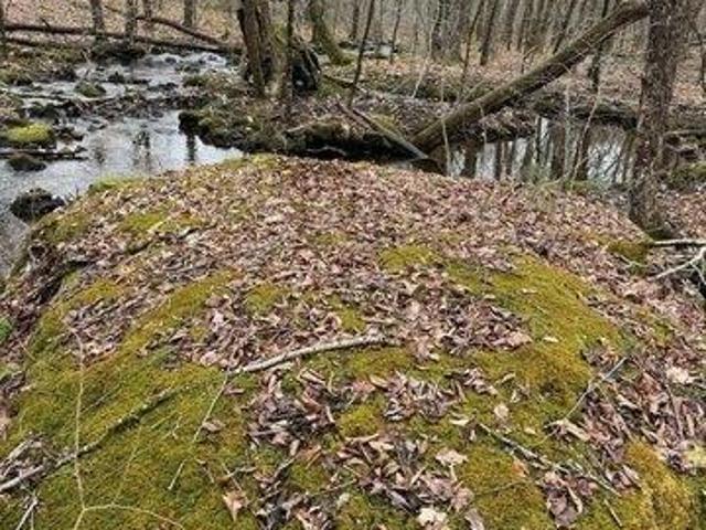 Land for sale in West Brookfield, Massachusetts